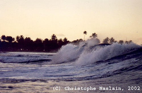 surf photo