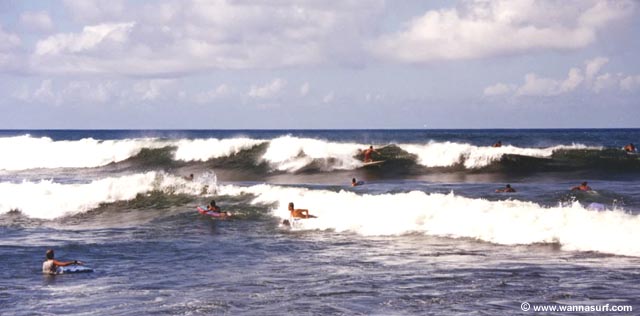 surf photo