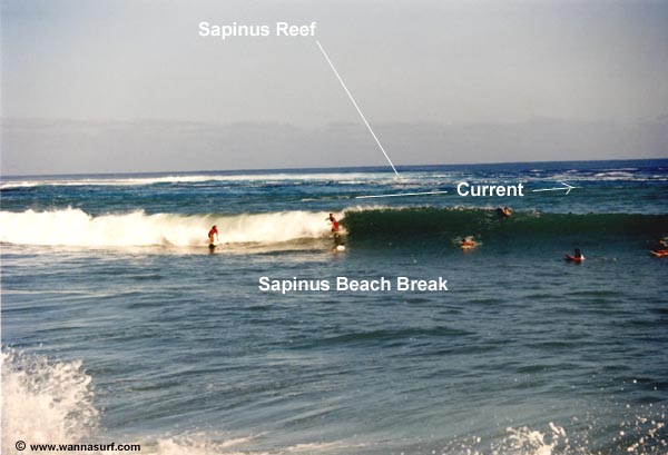 surf photo