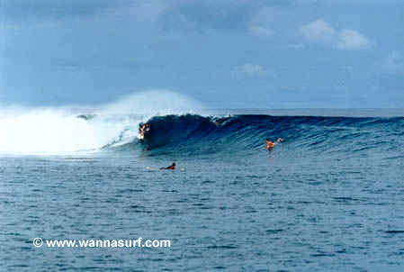 surf photo