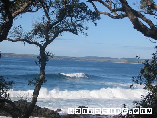 surf photo