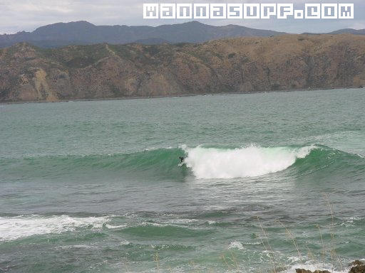 surf photo