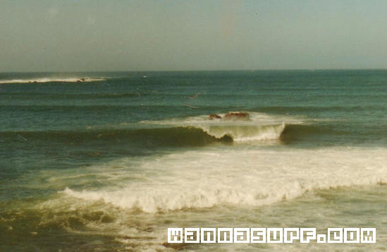 surf photo