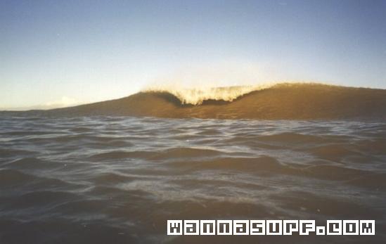surf photo