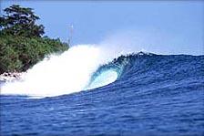 surf photo