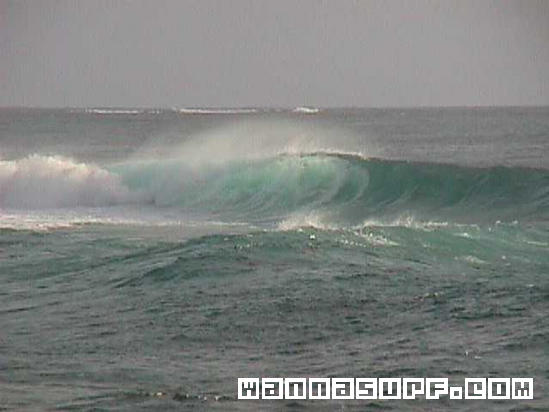 surf photo