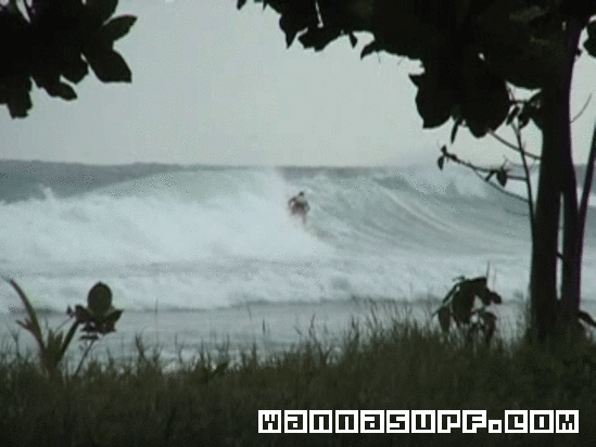 surf photo