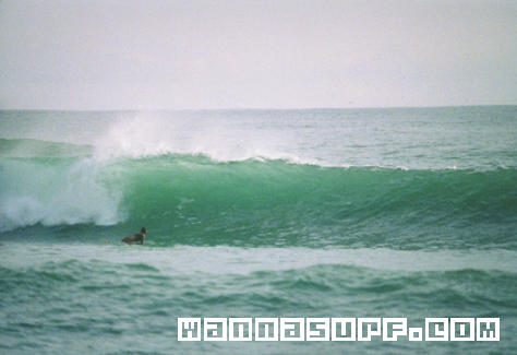 surf photo