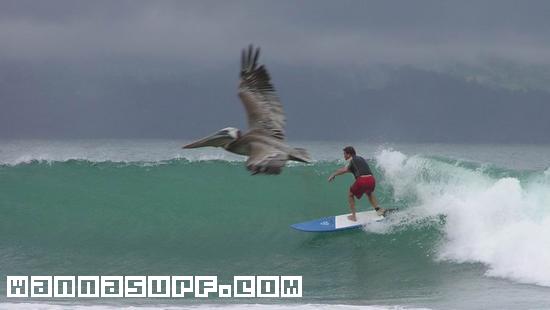 surf photo