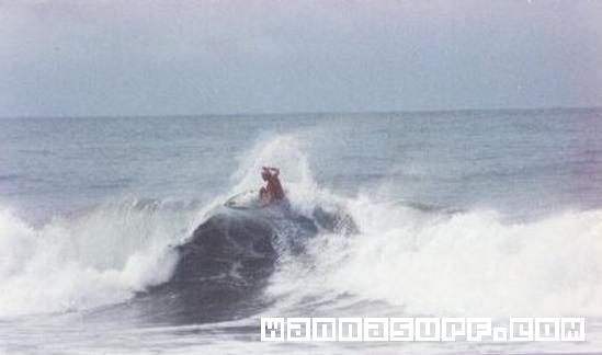 surf photo