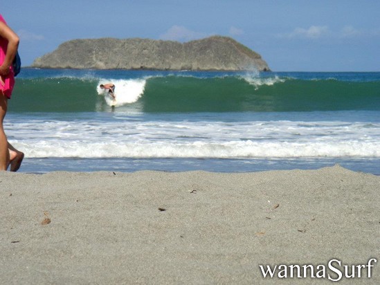 surf photo