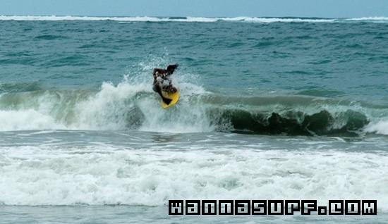 surf photo
