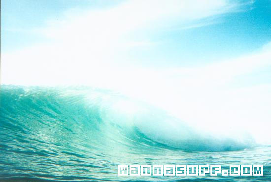 surf photo