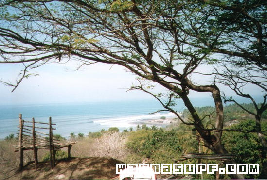 surf photo