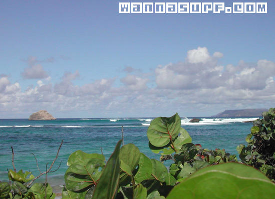 surf photo