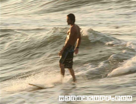 surf photo