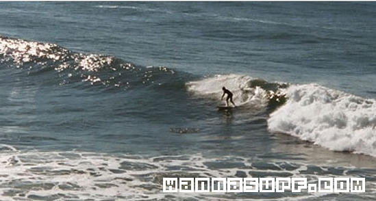 surf photo