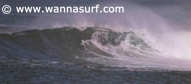 surf photo