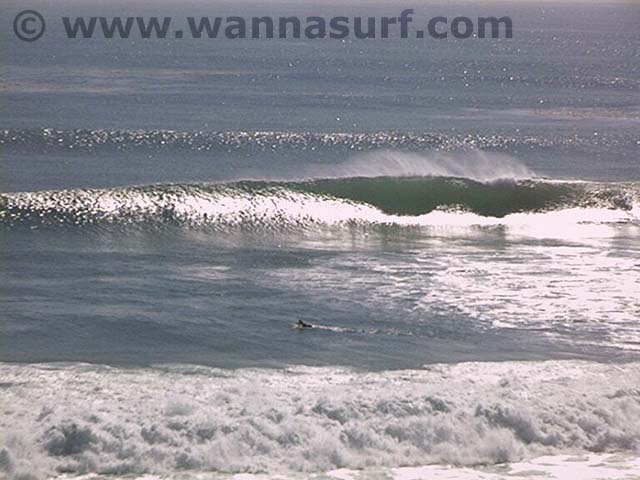 surf photo