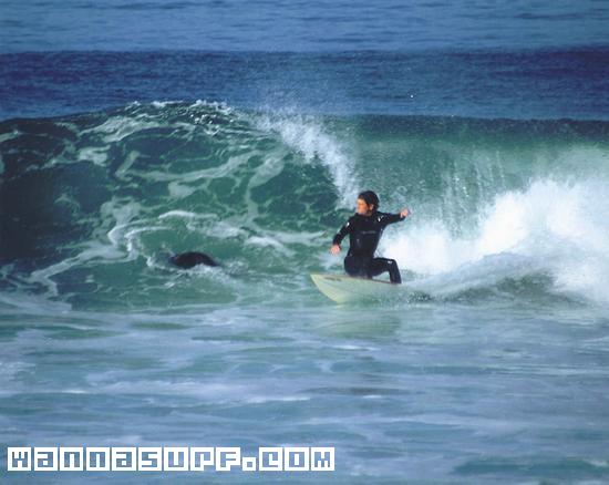 surf photo
