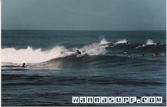surf photo