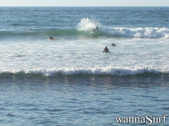 surf photo