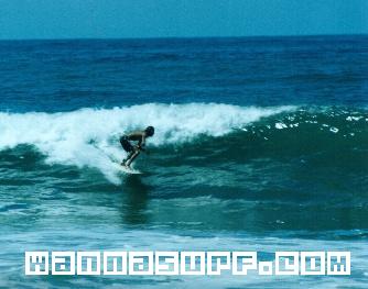 surf photo