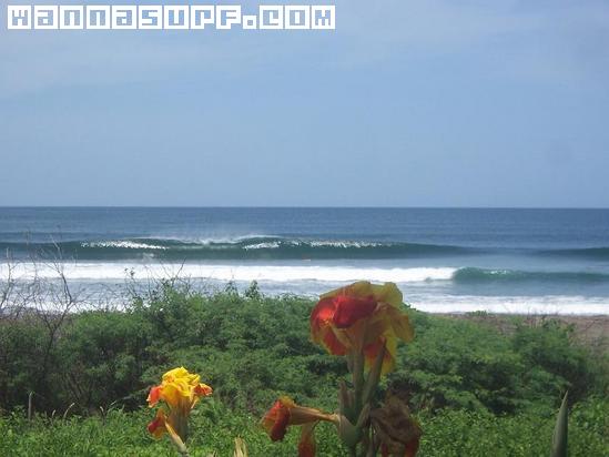 surf photo