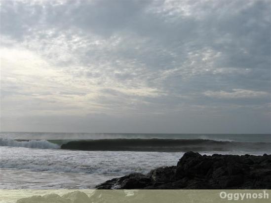 surf photo