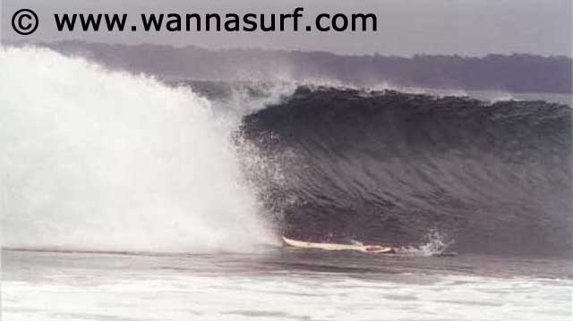 surf photo