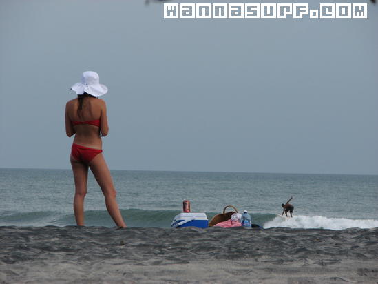 surf photo