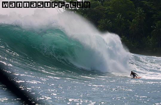 surf photo