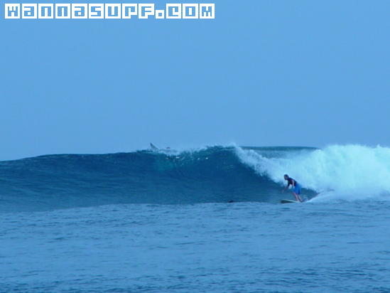 surf photo