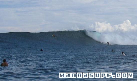 surf photo
