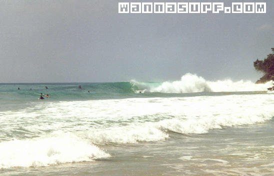 surf photo