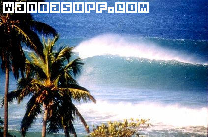 surf photo