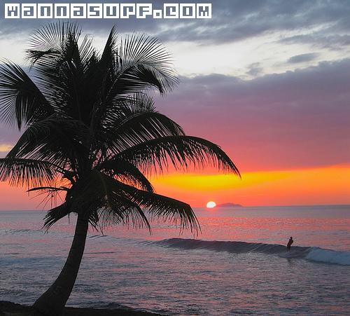 surf photo