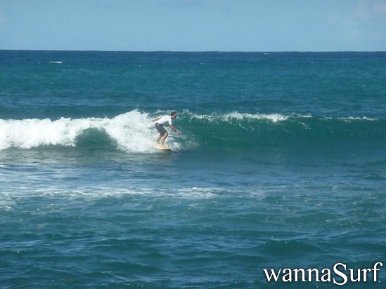 surf photo