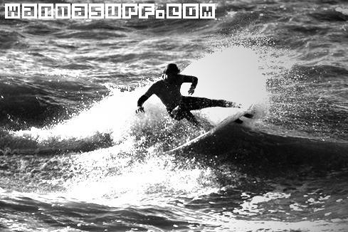surf photo