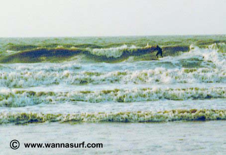 surf photo