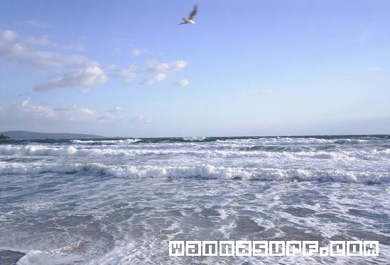 surf photo