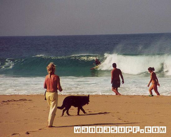 surf photo