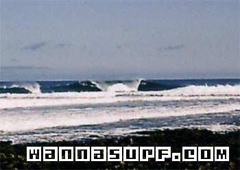 surf photo