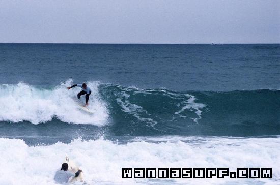 surf photo