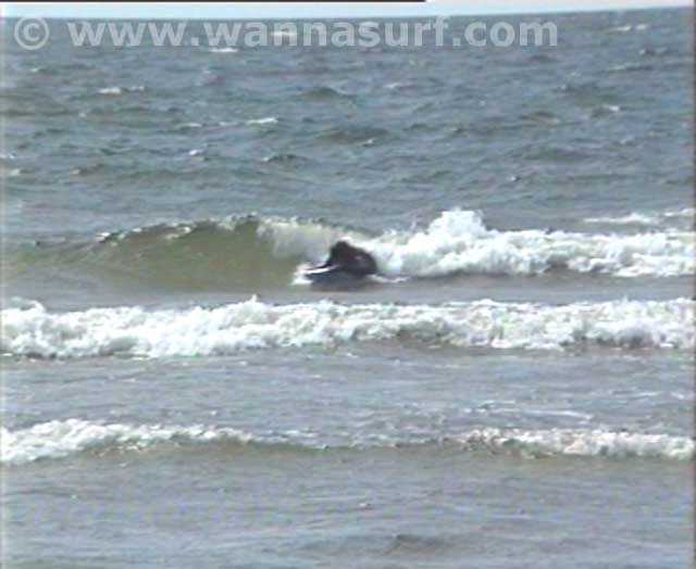 surf photo