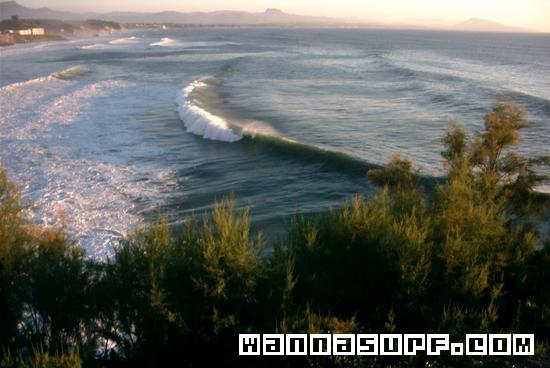 surf photo