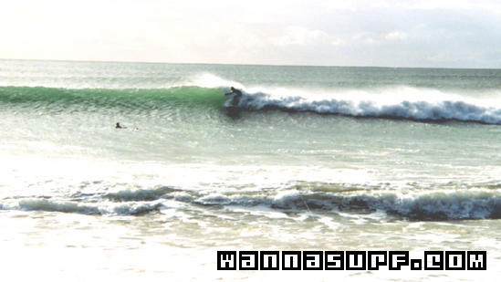 surf photo