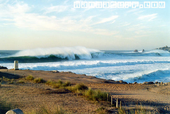 surf photo