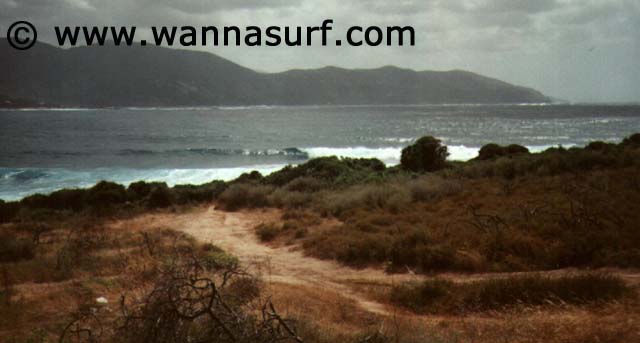 surf photo