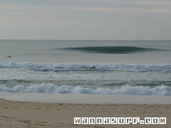 surf photo